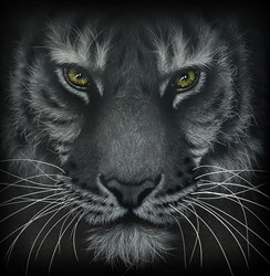 Pause for Effect by Colin Banks - Original Painting on Aluminium sized 14x14 inches. Available from Whitewall Galleries