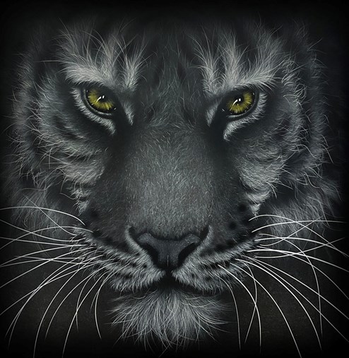 Pause for Effect by Colin Banks - Original Painting on Aluminium